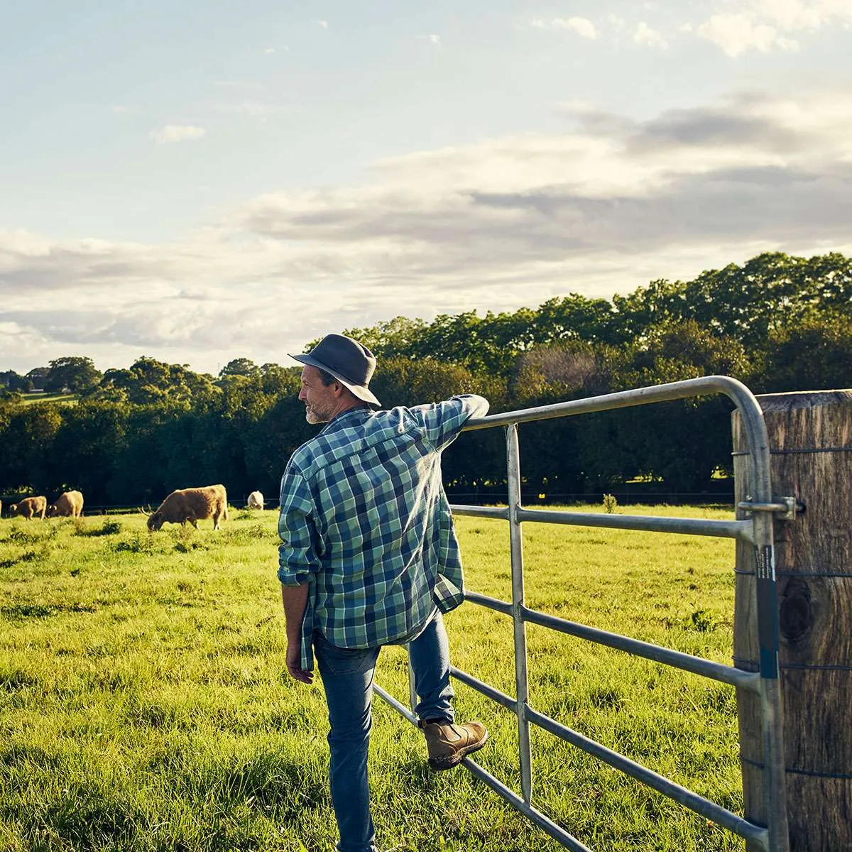 A farmer opening a gate to provide land access