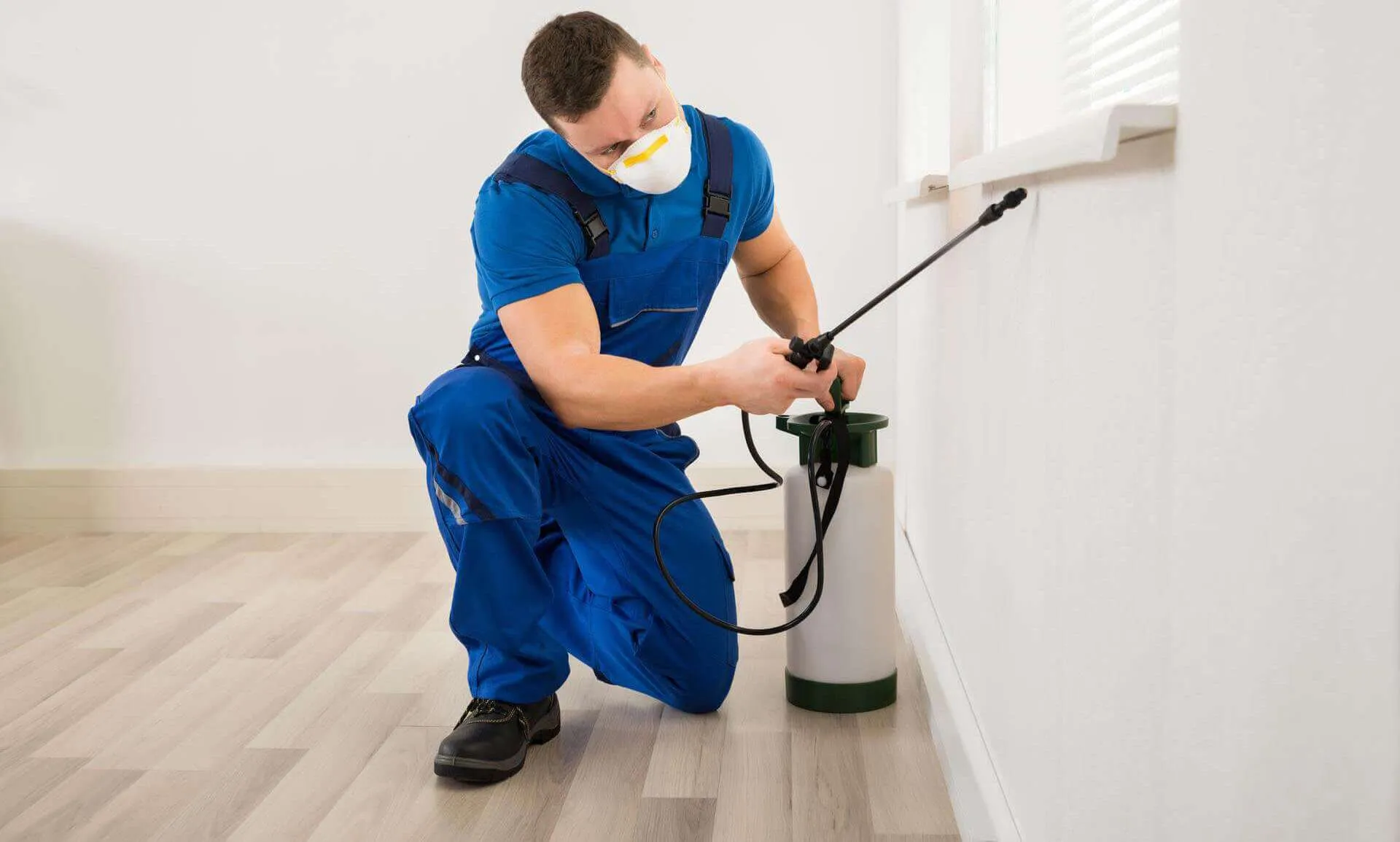 A pest control technician inspecting a property