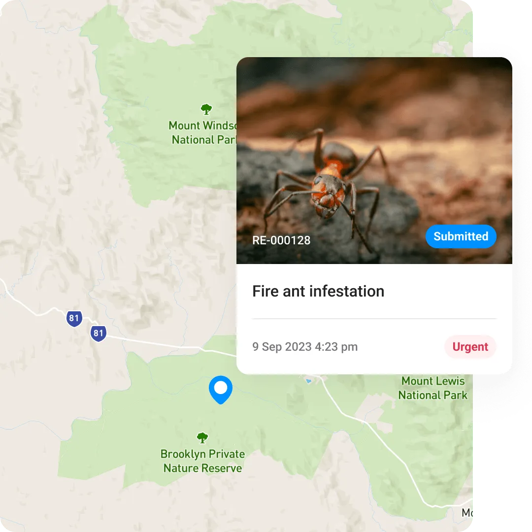 A fire ant infestation mapped with a geotagged photo card
