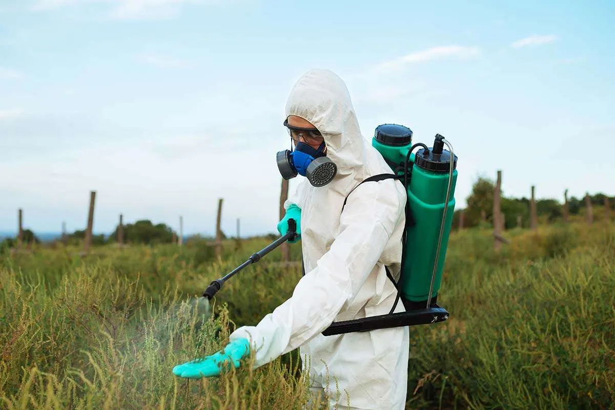 A worker spraying noxious weeds in protective equipment