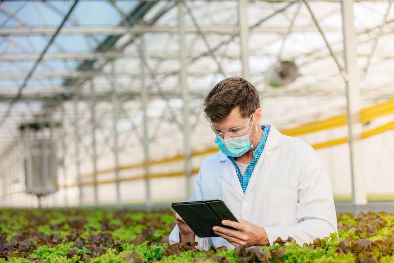 Environmental inspections - Male inspector checking vegetations in a greenhouse.